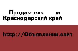 Продам ель 15-16м  - Краснодарский край  »    